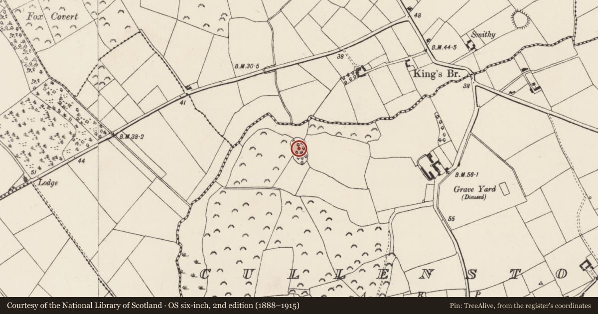 Ordnance Survey six-inch map, 2nd edition (1888–1915) covering the location of Enclosure, Cullenstown, County Wexford, with a pin at the register's coordinates