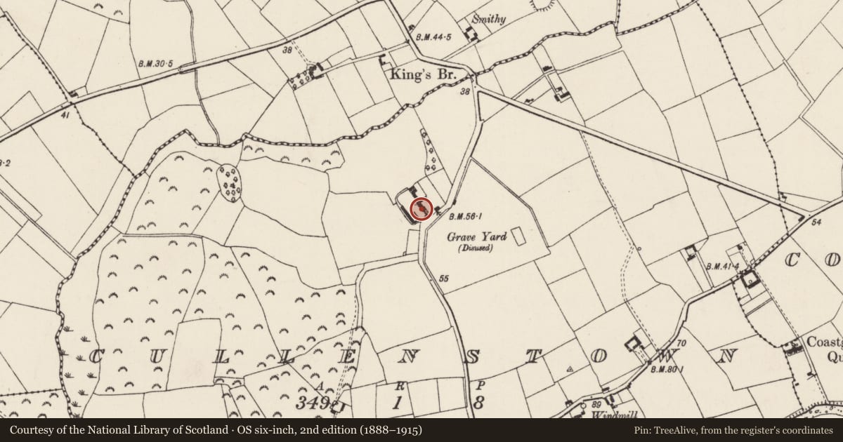 Ordnance Survey six-inch map, 2nd edition (1888–1915) covering the location of Castle - tower house, Cullenstown, County Wexford, with a pin at the register's coordinates