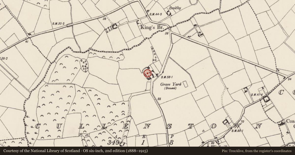 Ordnance Survey six-inch map, 2nd edition (1888–1915) covering the location of Bawn, Cullenstown, County Wexford, with a pin at the register's coordinates
