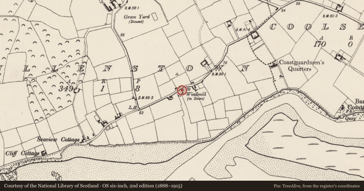 Ordnance Survey six-inch map, 2nd edition (1888–1915) covering the location of Windmill, Cullenstown, County Wexford, with a pin at the register's coordinates