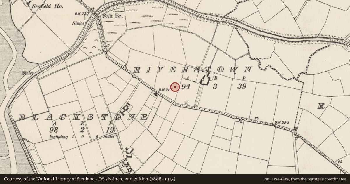 Ordnance Survey six-inch map, 2nd edition (1888–1915) covering the location of Ringfort - rath, Riverstown, County Wexford, with a pin at the register's coordinates