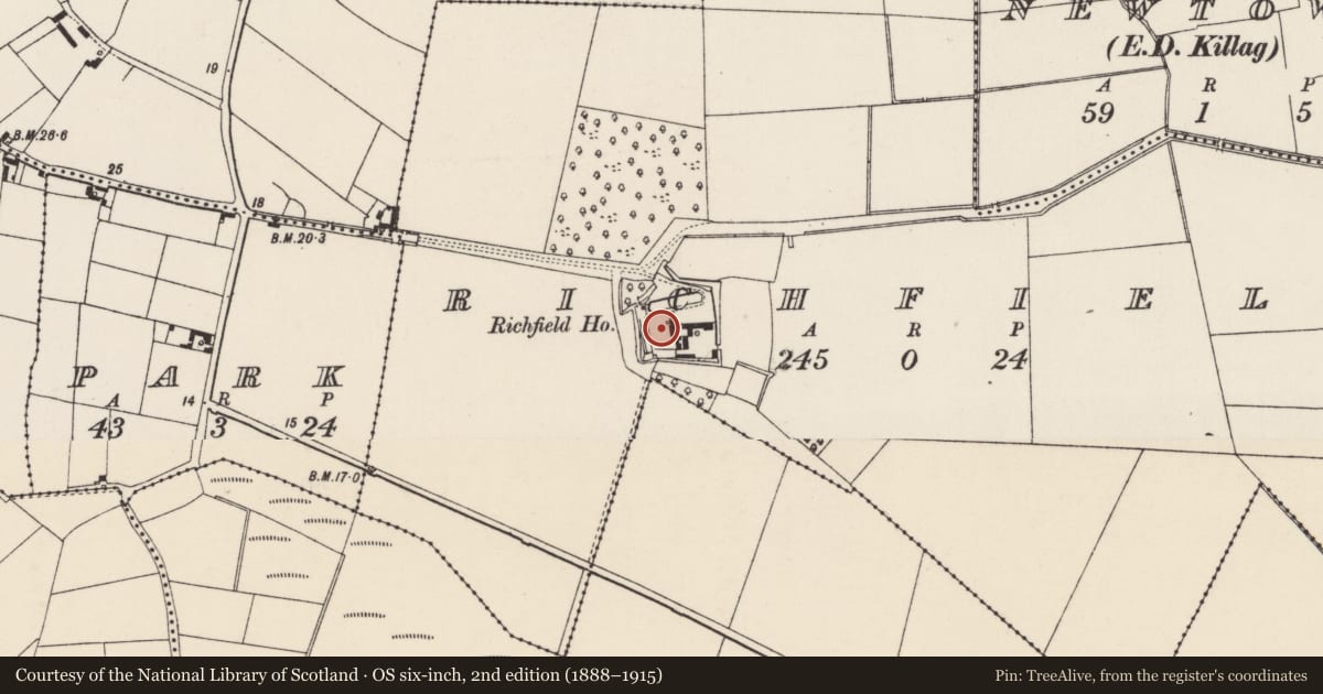Ordnance Survey six-inch map, 2nd edition (1888–1915) covering the location of Moated site, Richfield, County Wexford, with a pin at the register's coordinates