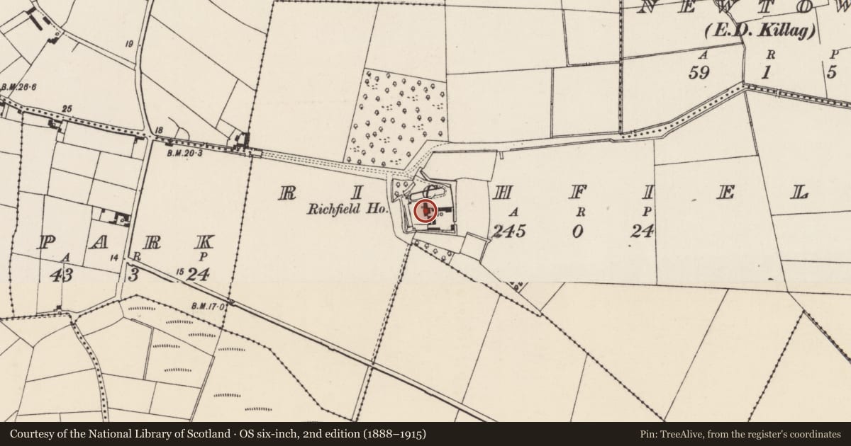 Ordnance Survey six-inch map, 2nd edition (1888–1915) covering the location of House - medieval, Richfield, County Wexford, with a pin at the register's coordinates
