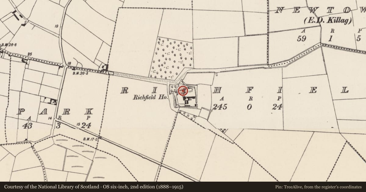 Ordnance Survey six-inch map, 2nd edition (1888–1915) covering the location of Fish-pond, Richfield, County Wexford, with a pin at the register's coordinates