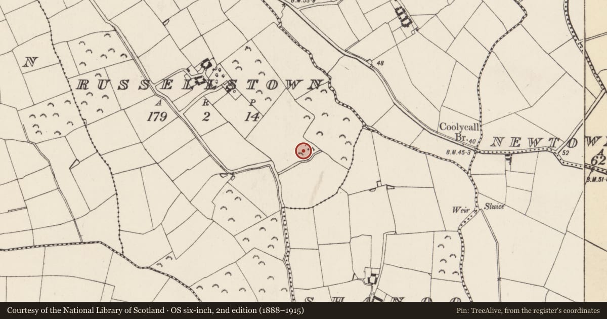Ordnance Survey six-inch map, 2nd edition (1888–1915) covering the location of Ringfort - rath, Russellstown, County Wexford, with a pin at the register's coordinates