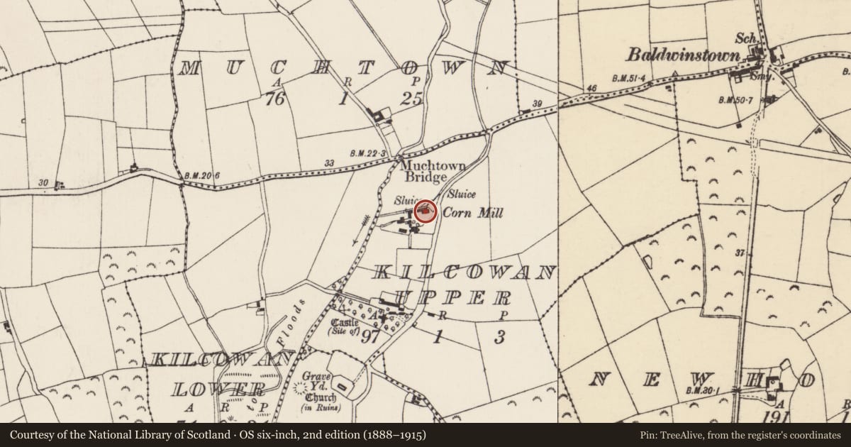 Ordnance Survey six-inch map, 2nd edition (1888–1915) covering the location of Mill - unclassified, Kilcowan Upper, County Wexford, with a pin at the register's coordinates