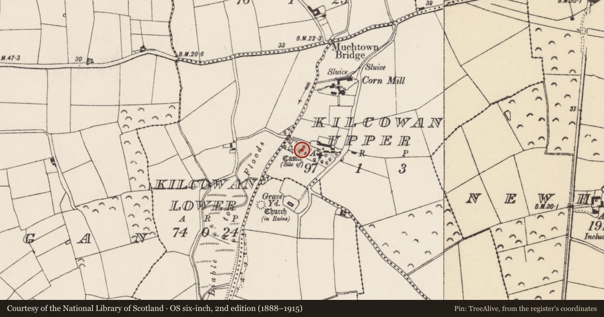 Ordnance Survey six-inch map, 2nd edition (1888–1915) covering the location of Walled garden, Kilcowan Lower, Kilcowan Upper, County Wexford, with a pin at the register's coordinates