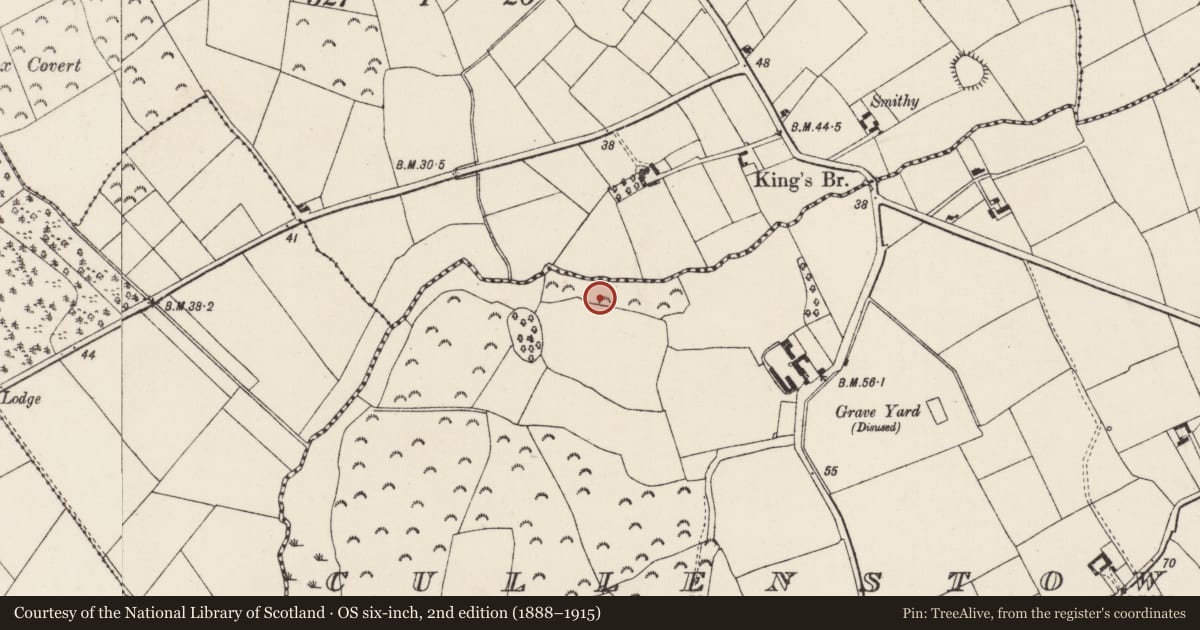 Ordnance Survey six-inch map, 2nd edition (1888–1915) covering the location of Ringfort - rath, Cullenstown, County Wexford, with a pin at the register's coordinates