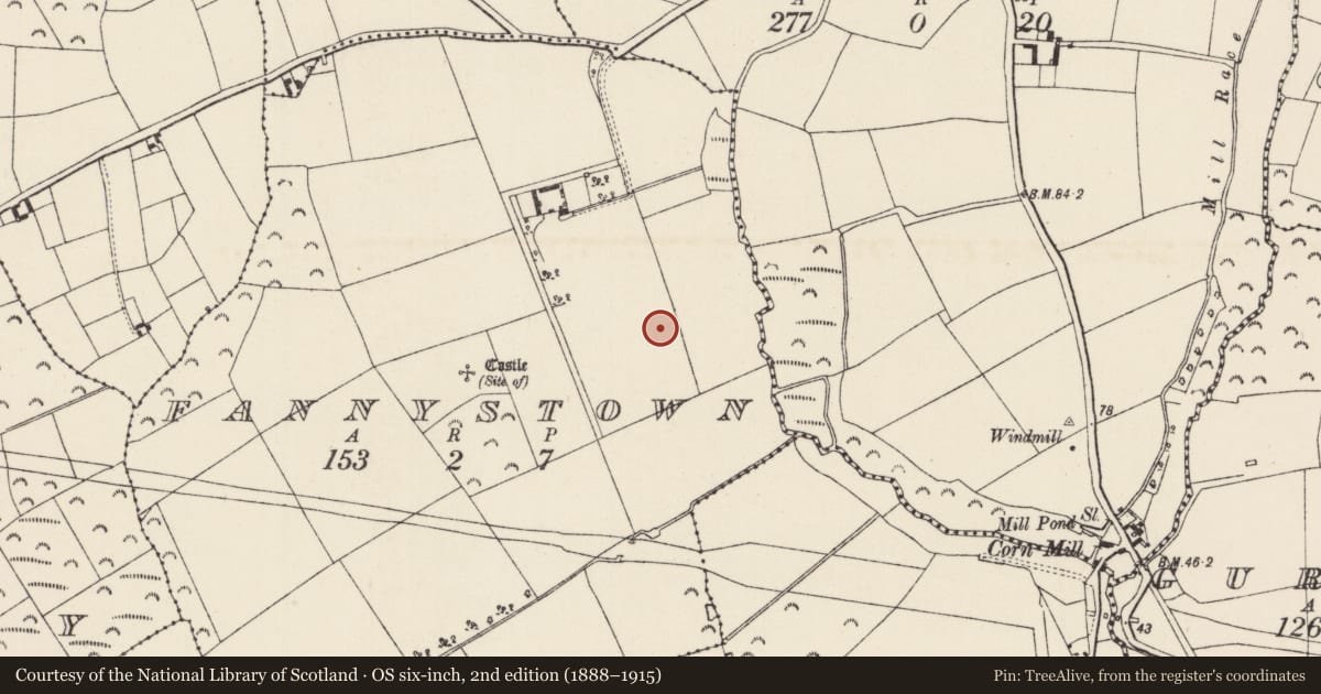 Ordnance Survey six-inch map, 2nd edition (1888–1915) covering the location of Ringfort - rath, Fannystown, County Wexford, with a pin at the register's coordinates