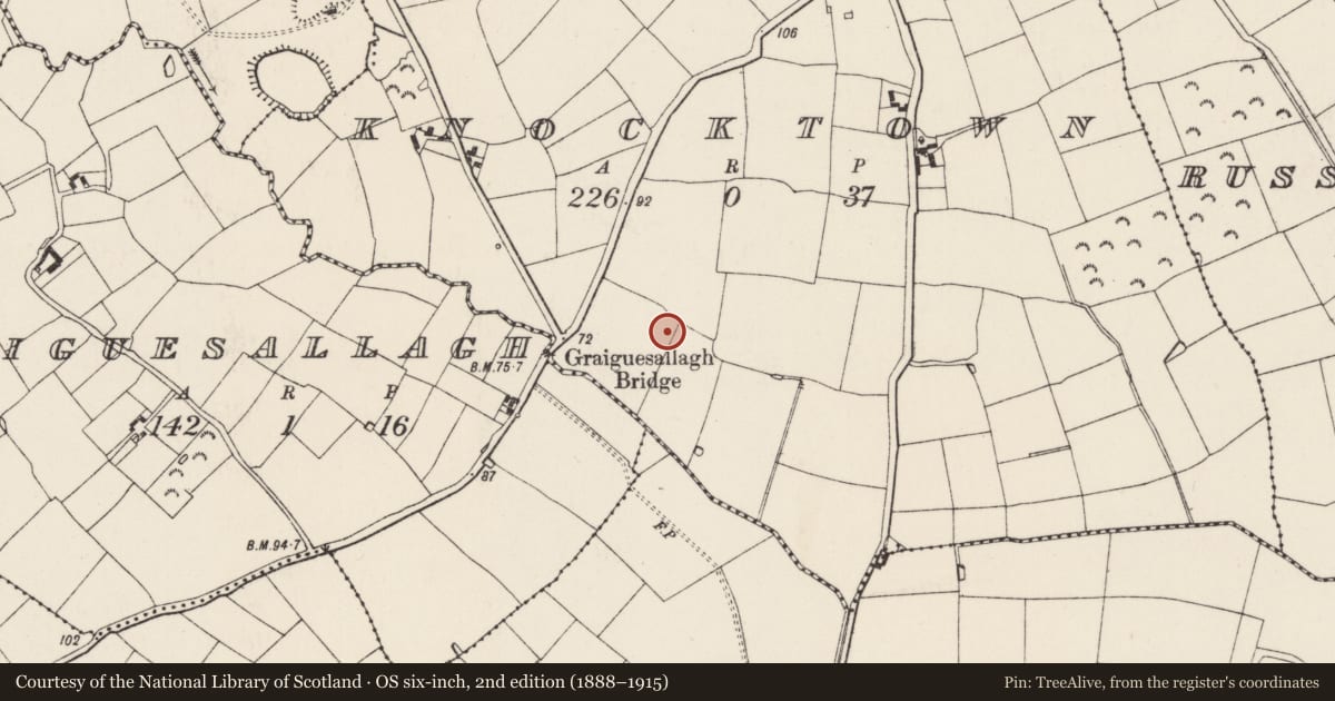 Ordnance Survey six-inch map, 2nd edition (1888–1915) covering the location of Ringfort - unclassified, Knocktown, County Wexford, with a pin at the register's coordinates