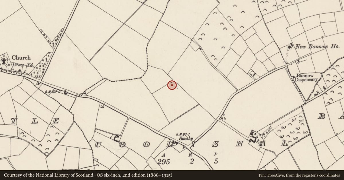 Ordnance Survey six-inch map, 2nd edition (1888–1915) covering the location of Enclosure, Coolishal, County Wexford, with a pin at the register's coordinates