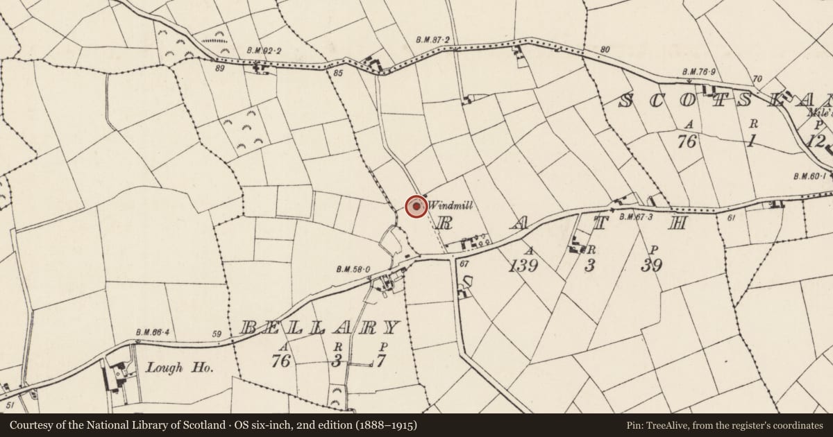 Ordnance Survey six-inch map, 2nd edition (1888–1915) covering the location of Windmill, Rath, County Wexford, with a pin at the register's coordinates