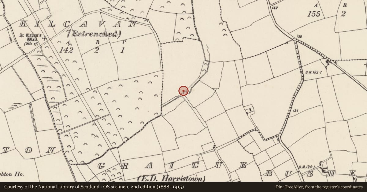 Ordnance Survey six-inch map, 2nd edition (1888–1915) covering the location of Kiln, Graigue, County Wexford, with a pin at the register's coordinates