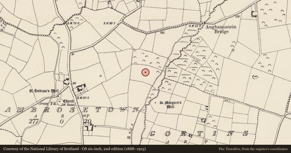 Ordnance Survey six-inch map, 2nd edition (1888–1915) covering the location of Ringfort - rath, Ambrosetown, County Wexford, with a pin at the register's coordinates