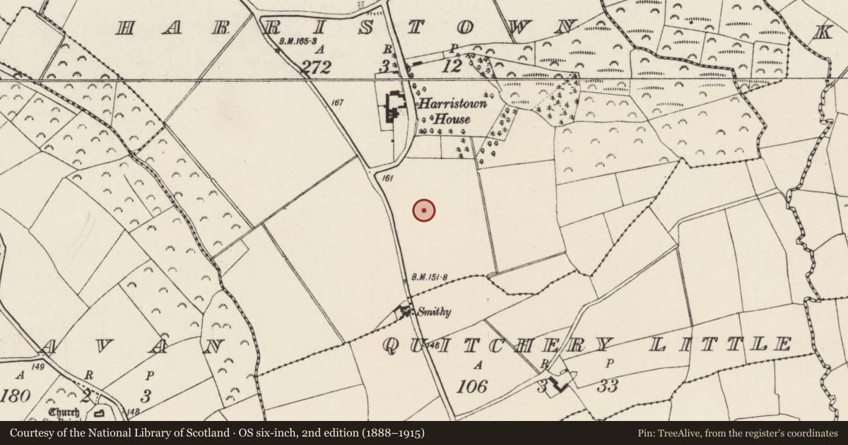 Ordnance Survey six-inch map, 2nd edition (1888–1915) covering the location of Ringfort - rath, Harristown, County Wexford, with a pin at the register's coordinates