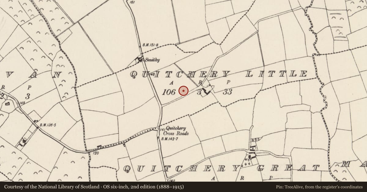 Ordnance Survey six-inch map, 2nd edition (1888–1915) covering the location of Ringfort - rath, Quitchery Little, County Wexford, with a pin at the register's coordinates
