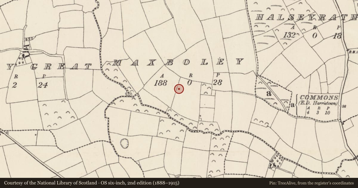 Ordnance Survey six-inch map, 2nd edition (1888–1915) covering the location of Ringfort - rath, Maxboley, County Wexford, with a pin at the register's coordinates