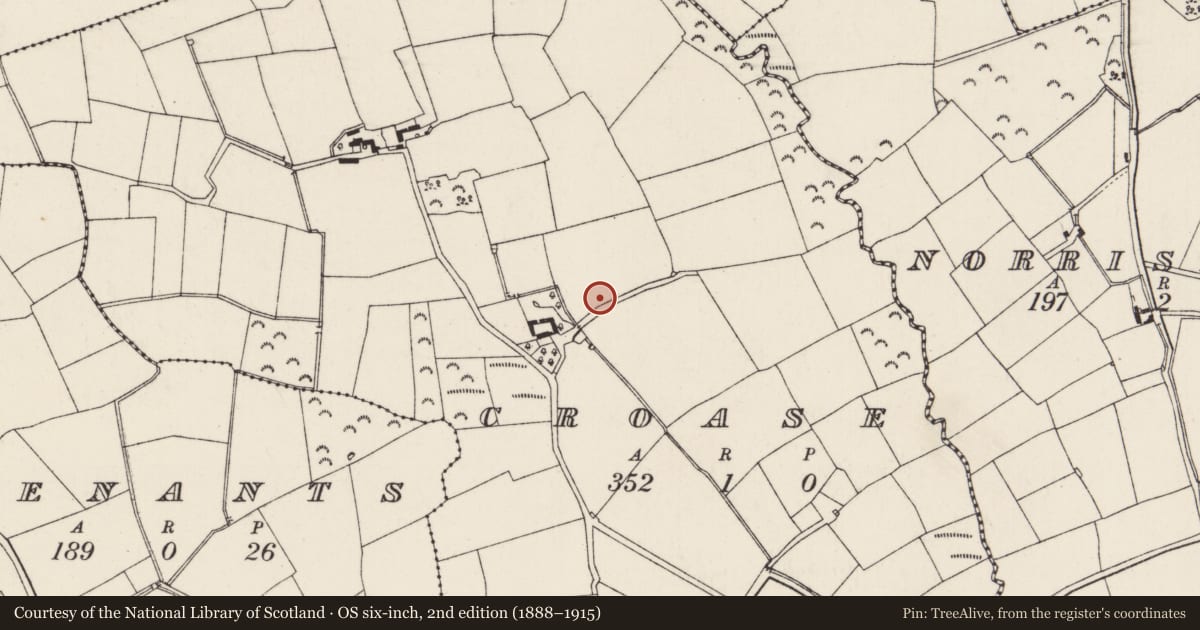Ordnance Survey six-inch map, 2nd edition (1888–1915) covering the location of Ring-ditch, Croase, County Wexford, with a pin at the register's coordinates