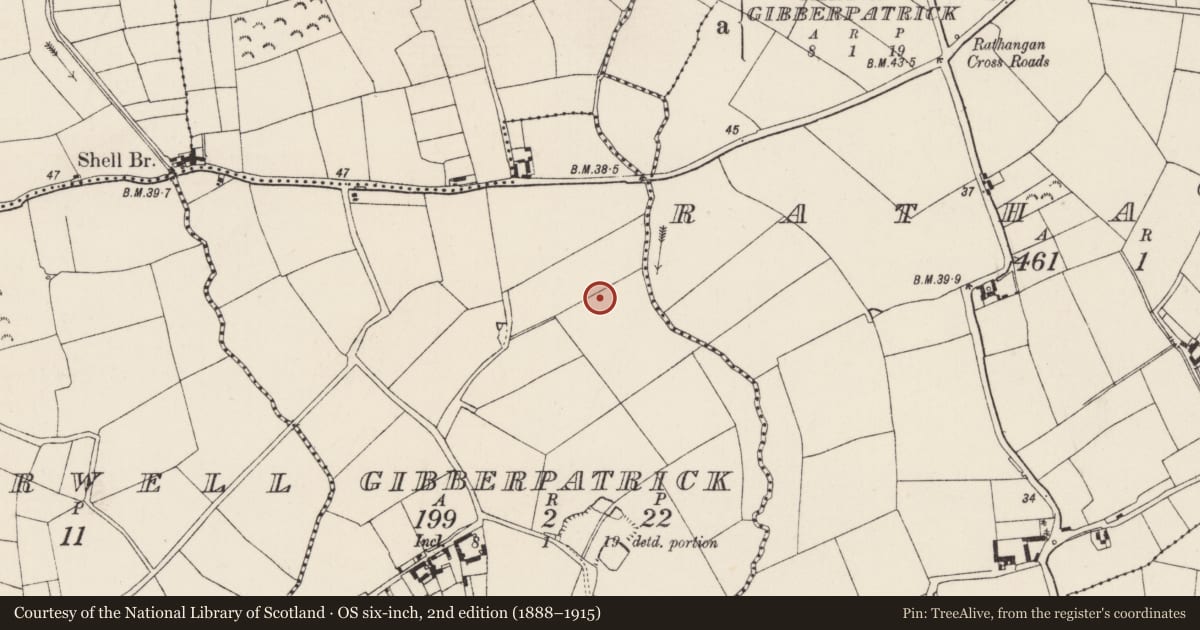 Ordnance Survey six-inch map, 2nd edition (1888–1915) covering the location of Ringfort - rath, Gibberpatrick, County Wexford, with a pin at the register's coordinates