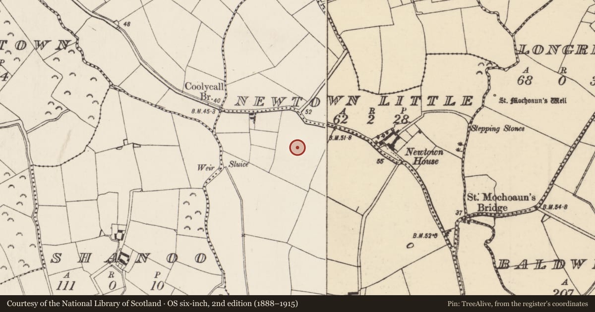 Ordnance Survey six-inch map, 2nd edition (1888–1915) covering the location of Enclosure, Ralphtown, County Wexford, with a pin at the register's coordinates