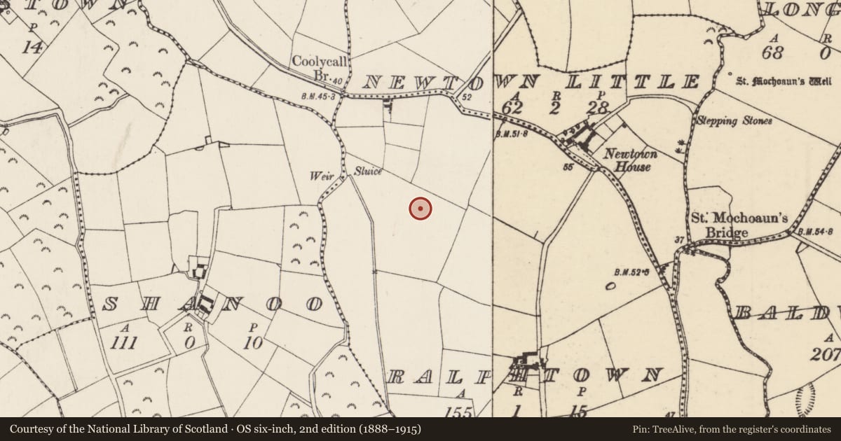 Ordnance Survey six-inch map, 2nd edition (1888–1915) covering the location of Ring-ditch, Ralphtown, County Wexford, with a pin at the register's coordinates