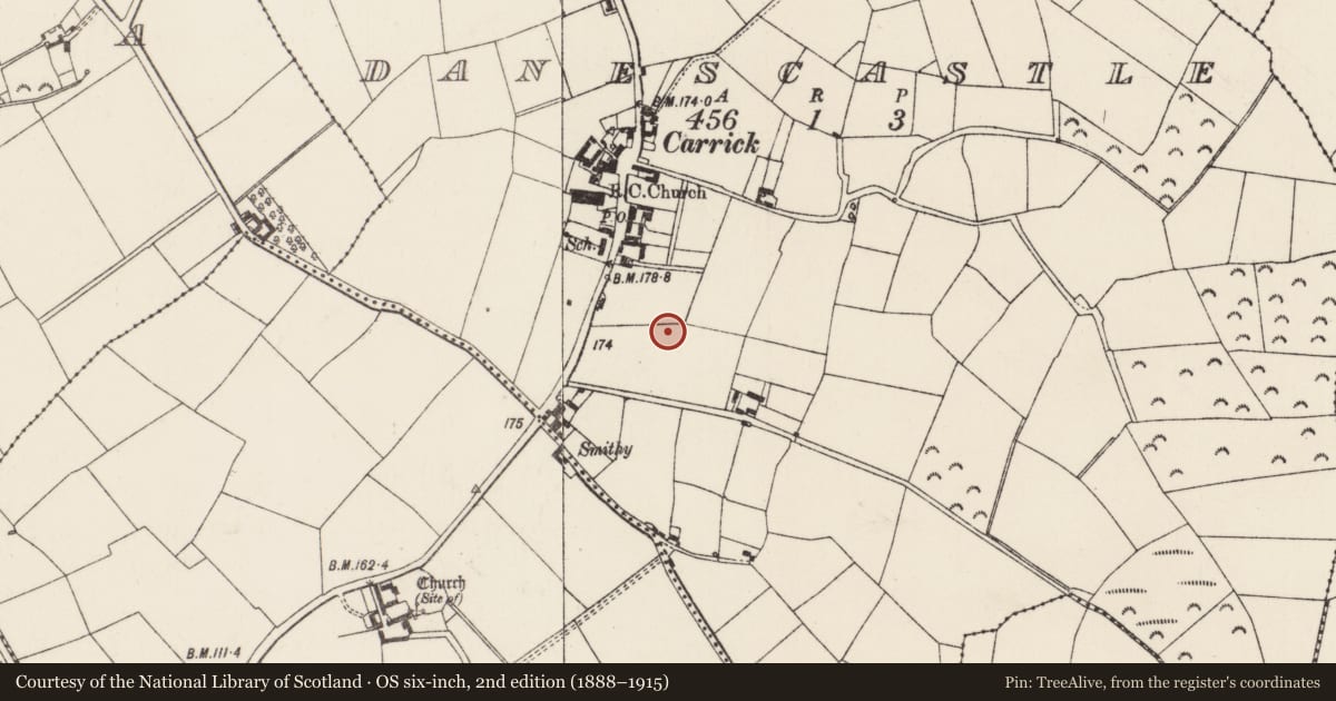 Ordnance Survey six-inch map, 2nd edition (1888–1915) covering the location of Kiln - lime, Danescastle, County Wexford, with a pin at the register's coordinates