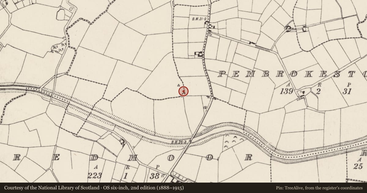Ordnance Survey six-inch map, 2nd edition (1888–1915) covering the location of Kiln - lime, Rathangan, County Wexford, with a pin at the register's coordinates