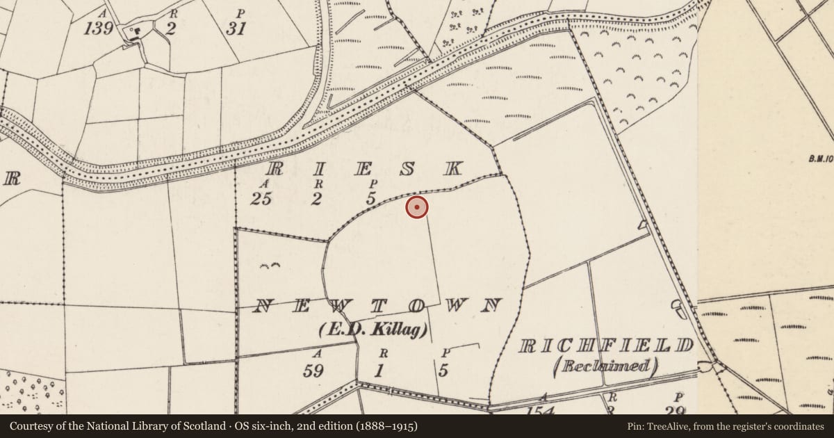 Ordnance Survey six-inch map, 2nd edition (1888–1915) covering the location of Excavation - miscellaneous, Newtown, County Wexford, with a pin at the register's coordinates