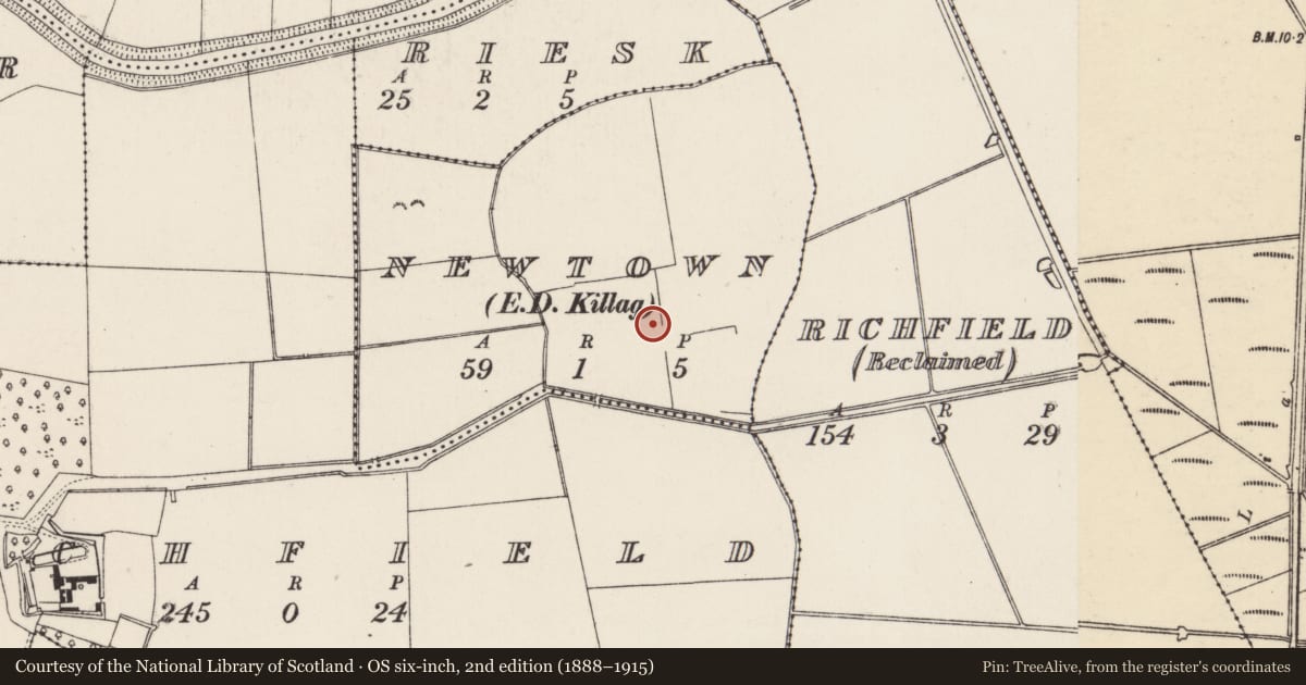 Ordnance Survey six-inch map, 2nd edition (1888–1915) covering the location of Fulacht fia, Newtown, County Wexford, with a pin at the register's coordinates
