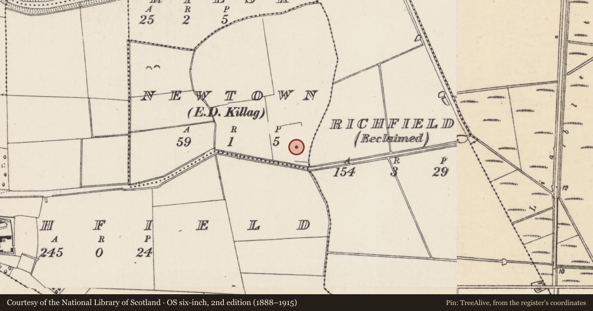 Ordnance Survey six-inch map, 2nd edition (1888–1915) covering the location of Excavation - miscellaneous, Newtown, County Wexford, with a pin at the register's coordinates