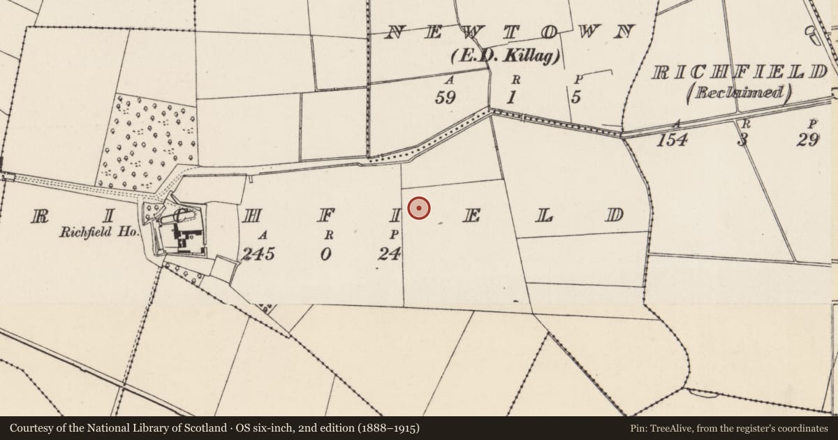 Ordnance Survey six-inch map, 2nd edition (1888–1915) covering the location of Fulacht fia, Richfield, County Wexford, with a pin at the register's coordinates