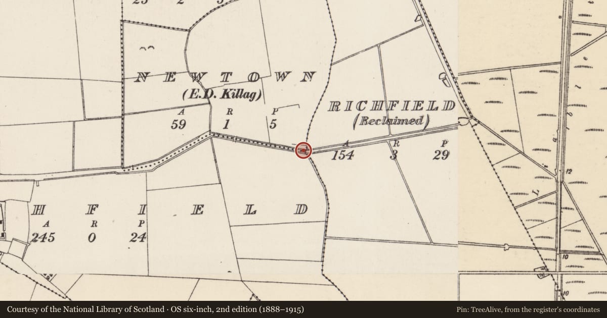 Ordnance Survey six-inch map, 2nd edition (1888–1915) covering the location of Gateway, Newtown, Richfield, County Wexford, with a pin at the register's coordinates