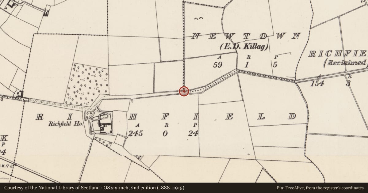 Ordnance Survey six-inch map, 2nd edition (1888–1915) covering the location of Road - road/trackway, Newtown, Richfield, County Wexford, with a pin at the register's coordinates