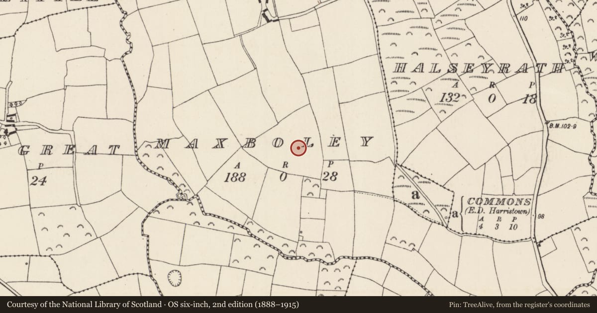 Ordnance Survey six-inch map, 2nd edition (1888–1915) covering the location of Enclosure, Maxboley, County Wexford, with a pin at the register's coordinates