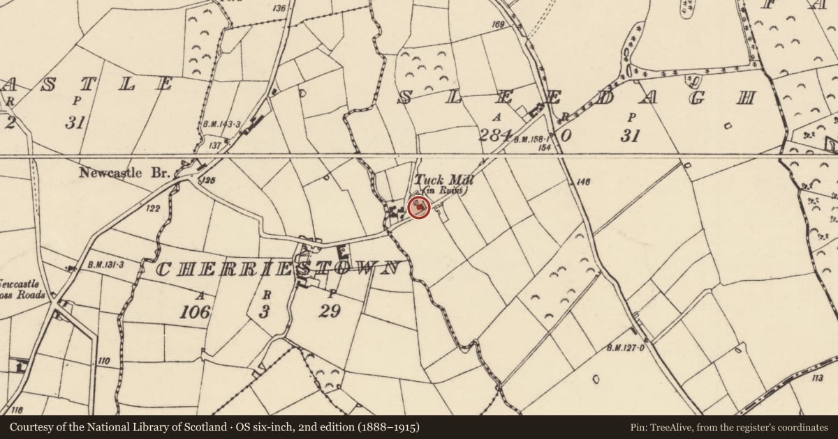 Ordnance Survey six-inch map, 2nd edition (1888–1915) covering the location of Mill - unclassified, Sledagh, County Wexford, with a pin at the register's coordinates