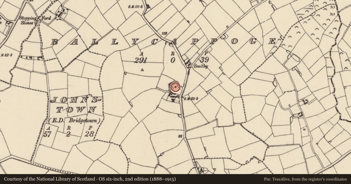 Ordnance Survey six-inch map, 2nd edition (1888–1915) covering the location of Castle - unclassified, Ballycappoge, County Wexford, with a pin at the register's coordinates