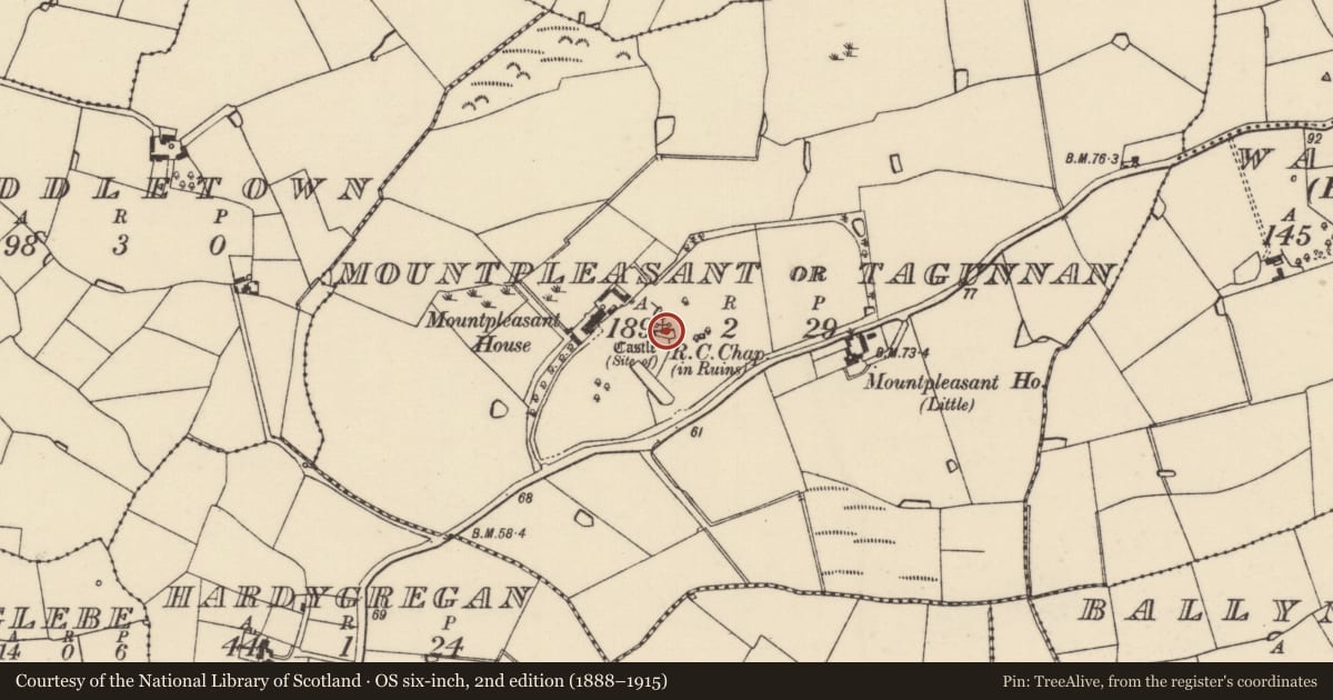 Ordnance Survey six-inch map, 2nd edition (1888–1915) covering the location of Castle - unclassified, Mountpleasant Or Tagunnan, County Wexford, with a pin at the register's coordinates