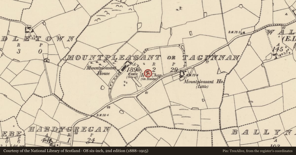 Ordnance Survey six-inch map, 2nd edition (1888–1915) covering the location of Chapel, Mountpleasant Or Tagunnan, County Wexford, with a pin at the register's coordinates
