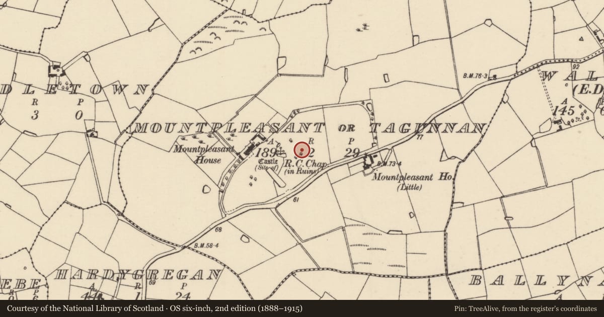 Ordnance Survey six-inch map, 2nd edition (1888–1915) covering the location of Churchyard, Mountpleasant Or Tagunnan, County Wexford, with a pin at the register's coordinates