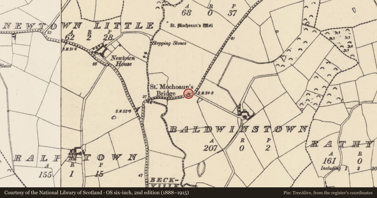 Ordnance Survey six-inch map, 2nd edition (1888–1915) covering the location of Graveyard, Longridge, County Wexford, with a pin at the register's coordinates