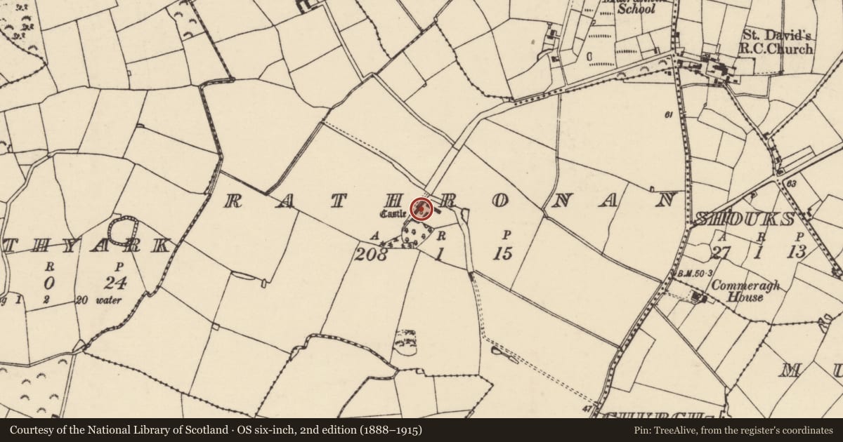 Ordnance Survey six-inch map, 2nd edition (1888–1915) covering the location of Castle - tower house, Rathronan, County Wexford, with a pin at the register's coordinates