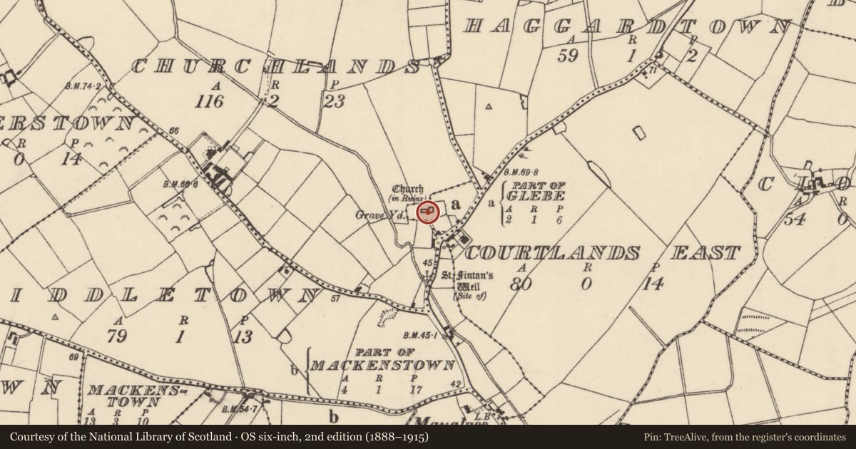 Ordnance Survey six-inch map, 2nd edition (1888–1915) covering the location of Church, Glebe, County Wexford, with a pin at the register's coordinates