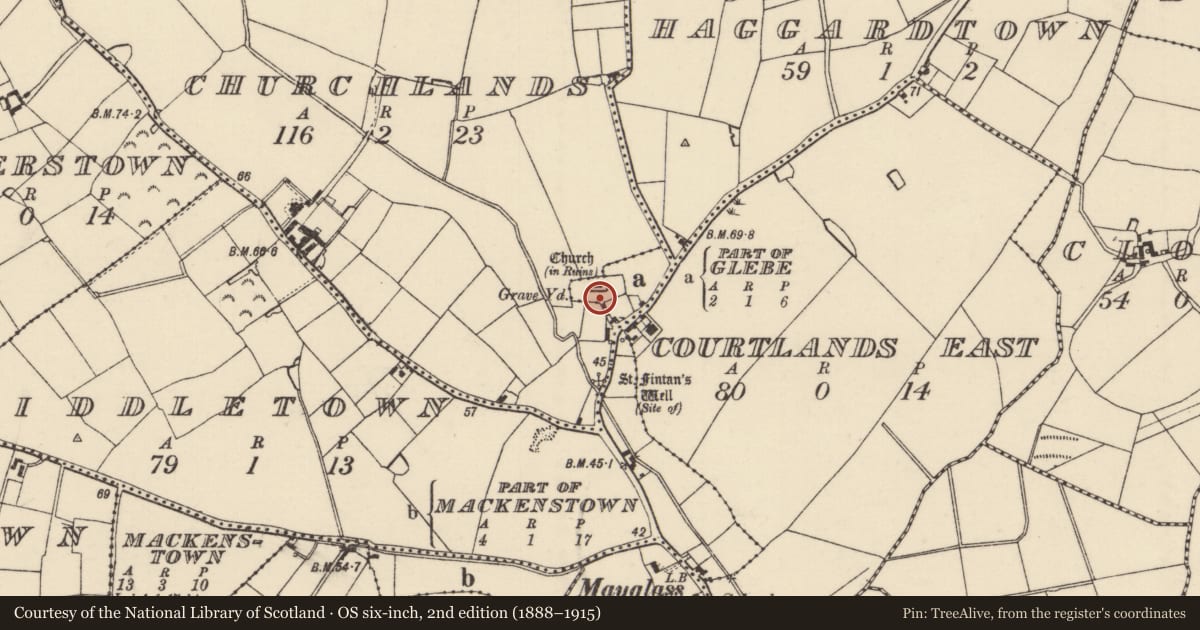 Ordnance Survey six-inch map, 2nd edition (1888–1915) covering the location of Graveyard, Churchlands, Glebe, County Wexford, with a pin at the register's coordinates