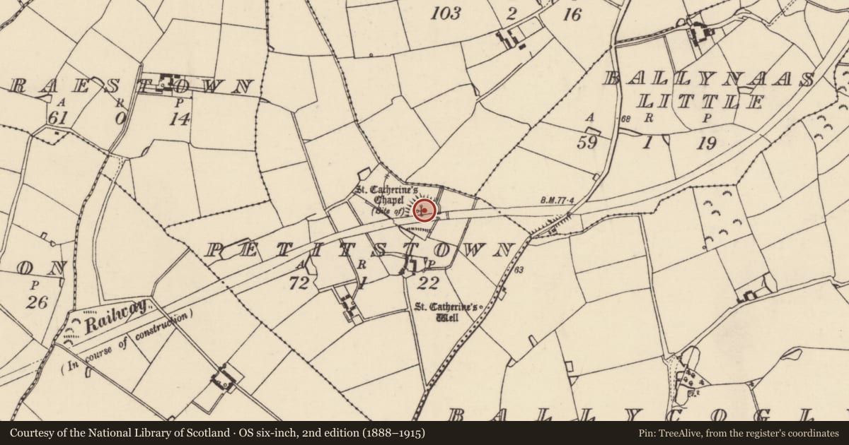 Ordnance Survey six-inch map, 2nd edition (1888–1915) covering the location of Church, Petitstown, County Wexford, with a pin at the register's coordinates