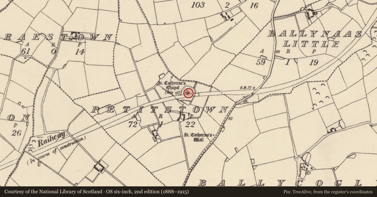 Ordnance Survey six-inch map, 2nd edition (1888–1915) covering the location of Ringfort - rath, Petitstown, County Wexford, with a pin at the register's coordinates