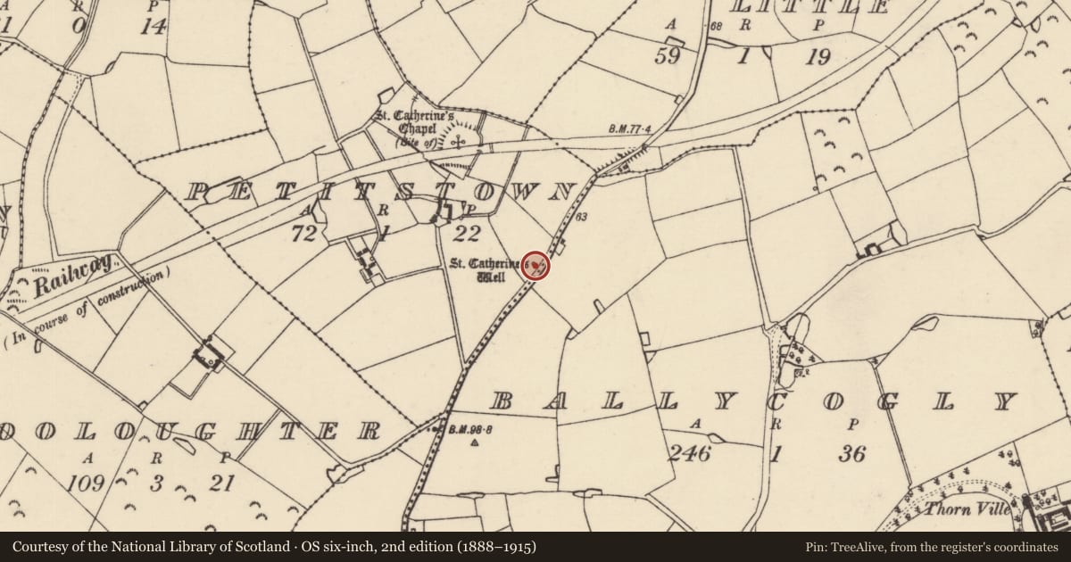 Ordnance Survey six-inch map, 2nd edition (1888–1915) covering the location of Ritual site - holy well, Petitstown, County Wexford, with a pin at the register's coordinates