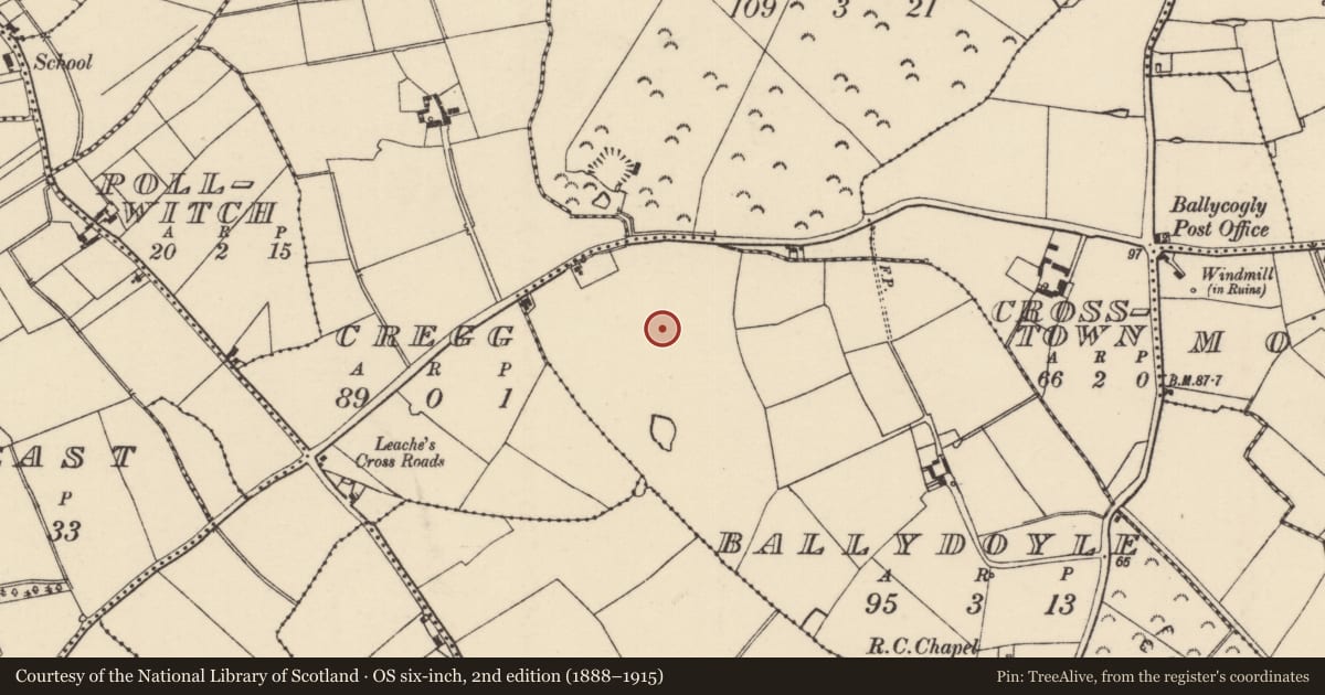 Ordnance Survey six-inch map, 2nd edition (1888–1915) covering the location of Ringfort - rath, Ballydoyle, County Wexford, with a pin at the register's coordinates