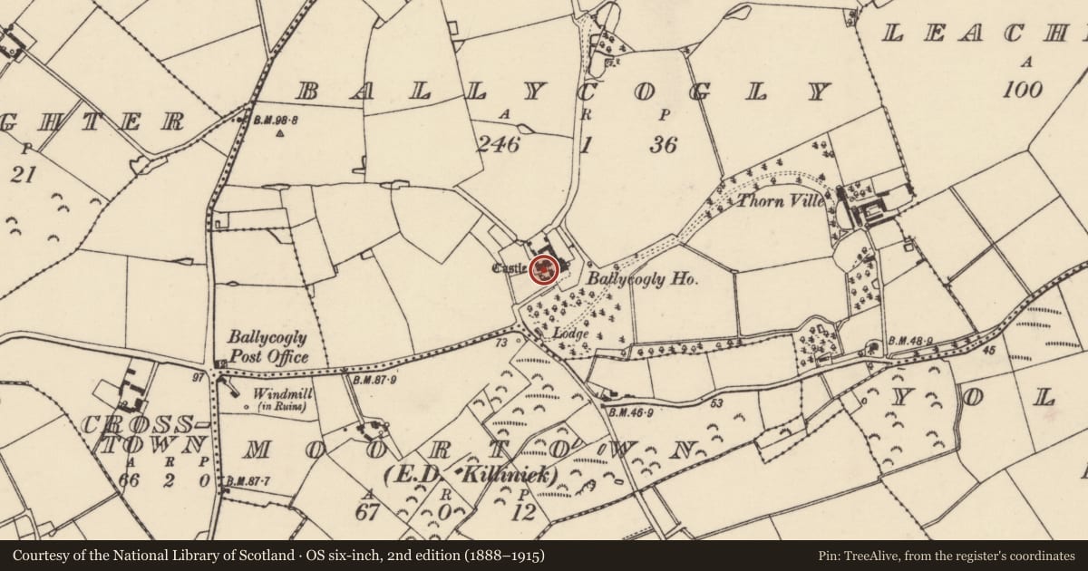 Ordnance Survey six-inch map, 2nd edition (1888–1915) covering the location of Castle - tower house, Ballycogly, County Wexford, with a pin at the register's coordinates