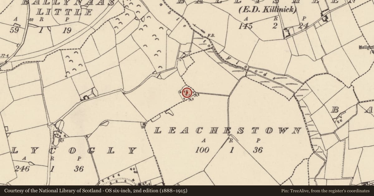 Ordnance Survey six-inch map, 2nd edition (1888–1915) covering the location of Ringfort - rath, Leachestown, Ballycogly, County Wexford, with a pin at the register's coordinates