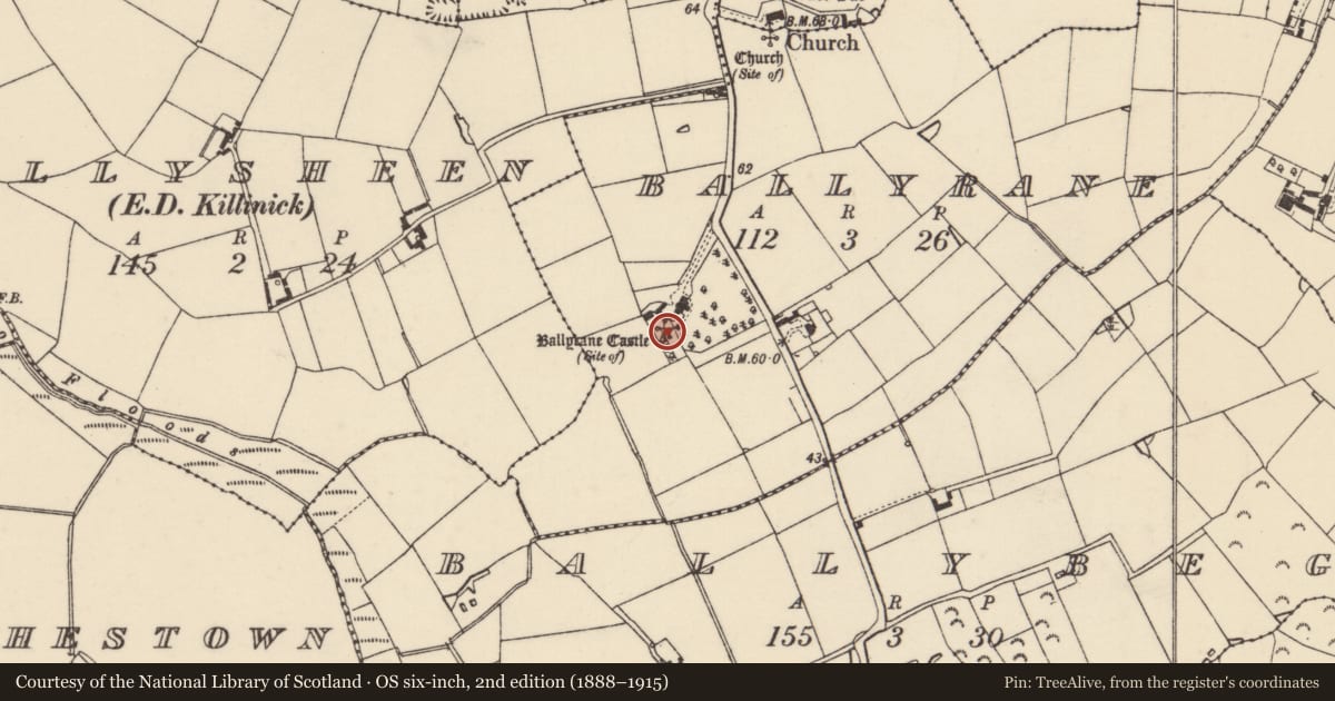 Ordnance Survey six-inch map, 2nd edition (1888–1915) covering the location of Castle - tower house, Ballyrane, County Wexford, with a pin at the register's coordinates